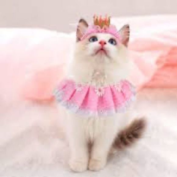 Need a break? These cats didn’t take a break from shopping, but you can! 💕💕 - Picture 4 of 7